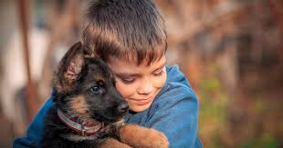 (1 days ago) affordable vet center is a full service veterinary (not just shots) clinic. Low Cost Pet Vaccination And Microchip Clinics Offered To Lake County Pet Owners