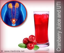 My best cranberry juice reviews will be extremely useful for you in this case. Does Cranberry Juice Really Help Prevent Urinary Tract Infections