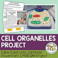 Making this plant cell model proved to be much more fun than the styrofoam animal cell i made with his older sister a couple of years ago! Cell Structure Function Model Project Distance Learning Digital Lesson