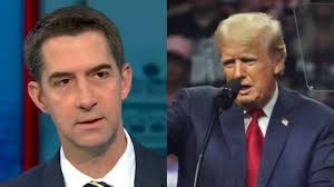 ABC's 'ridiculous and biased' Cotton interview that got Trump questioning  only Harris debate