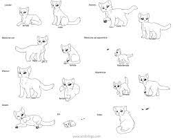 Warriors cats coloring pages cat warrior black sheets for sheet free. How To Draw Warrior Cat Coloring Pages Xcolorings Com