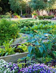 11 Useful Tips To Help You Create The Ultimate Raised Vegetable Garden Plantas Perenes Perenes Plantas