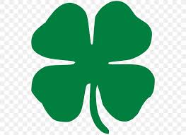 We did not find results for: Four Leaf Clover Png 552x597px Four Leaf Clover Clip Art Clover Cloverleaf Interchange Flowering Plant Download