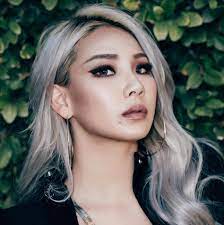 Take suzy bae for example who has boldly chosen a blond color. Blonde Hair For Asian Skin Popsugar Beauty