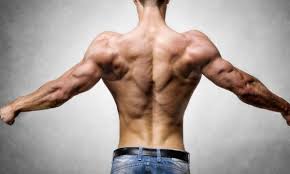 Lift up, using your lower body, and once the bar passes your knees, you can start pulling with your back muscles while also thrusting your hips forward. Home Back Workout To Increase Back Strength And Width A Lean Life