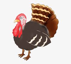 Edit and share any of these stunning. Drawn Turkey Transparent Turkeys Clipart Png Image Transparent Png Free Download On Seekpng