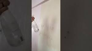 O kadar o kadar hazırlamanızda fayda var çünkü suyun sıcaklığı çok önemli. Duvar Kagidi En Kolay Sekilde Nasil Sokulur Youtube
