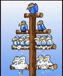 Hierarchy Meme Templates Imgflip