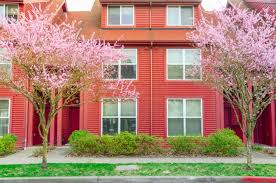 Blooms late spring to frost 9 Best Places To Find Cherry Blossoms In Seattle Small Town Washington