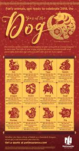 Chinese new year is the festival that celebrates the beginning of a new year on the traditional lunar calendar. Lunar New Year Infographic Pet Health Insurance Tips
