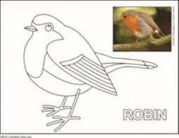Free bird coloring printable pages to identify for kids. Printable Bird Coloring Pages