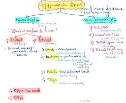 It was licensed by triumph international, developed by and published by ubisoft, and was released on 6 november 2010 in north america, 7 november 2010 in australia and 8 november 2010 in europe for the nintendo ds, playstation portable, and wii. Be Your Usmle Step 1 Tutor As A Topper By Apurvapopat511 Fiverr