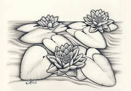 45 Beautiful Flower Drawings And Realistic Color Pencil Drawings Pencil Drawings Of Flowers Flower Drawing Beautiful Flower Drawings