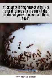 kitchen cupboards, house cleaning tips
