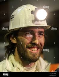 Der fuchs hi-res stock photography and images