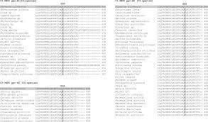 Image result for Enteropogon prieurii