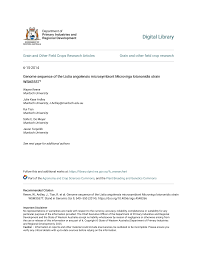 Image result for Lotononis stipulosa