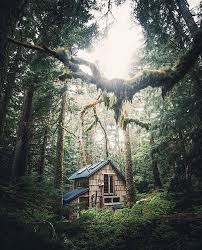 Maison Dans Les Bois Cabine En Bois Maison Dans La Foret Chalet Montagne