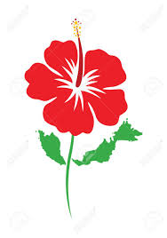 May 2017 male shareholding changes. Hibiscus National Flower Of Malaysia Royalty Free Cliparts Vectors And Stock Illustration Image 126397370