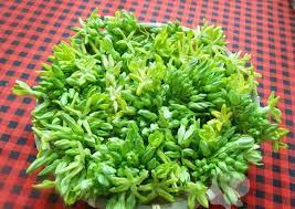Maybe you would like to learn more about one of these? Bi Quyáº¿t Náº¥u Canh Cua Hoa Thien Ly Ngon Trong Nhiá»u Gáº¡ch