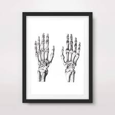 (no reviews yet) write a review . Skeleton Hands Black White Medical Art Print Anatomical Anatomy Medicine Human Body Biological Chart Diagram Illustration Vintage Antique Poster Home Decor Wall Picture A4 A3 A2 10 Size Options Buy Online In