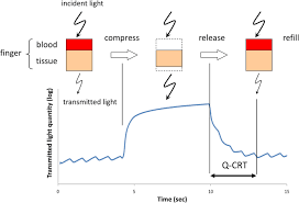 Image result for Capillary Refill