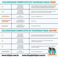 pin em cachorrinho