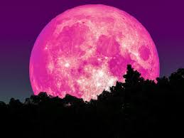 Im augenblick sind 7.154 % der vollmondscheibe sichtbar. Hellster Supermond Des Jahres Pinker Vollmond Im April