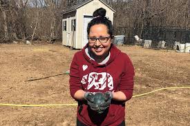students volunteer at nonprofits during