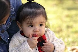 The Retreat from Roundup: Evidence Backing Cancer Claims