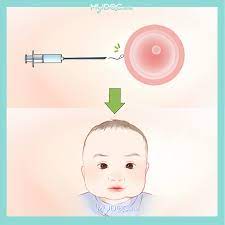 Below are government ivf centres in nigeria. 6 Best Ivf In Vitro Fertilisation In Malaysia Price Guide Reviews