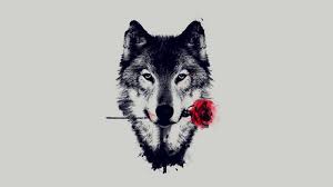 35 Coole Hintergrundbilder Kostenlos Zum Herunterladen Technologie Zenideen Wolf Tattoos Wolf Tattoo Ausgestopftes Tier Ich liebe hintergründe die schwarz weis oder knallbunt sind , ich hoffe ihr auch geniesst die bilder. 35 coole hintergrundbilder kostenlos