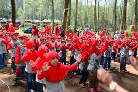 Saatnya Terbang: Petualangan Baru Menanti