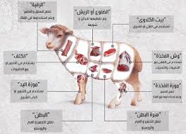 بالصور والتفاصيل اجزاء واستخدامات لحم الخروف شيف رونا