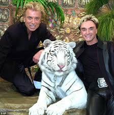 Siegfried & roy (roy clark. Tiger That Injured Roy Horn Of Siegfried Roy In 2003 Dies Daily Mail Online