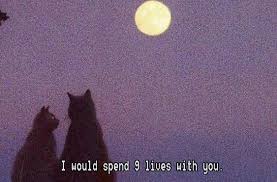 I Would Spend 9 Lives With You Quote Aesthetic Mood Quotes Life