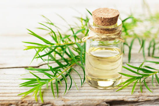 Review 5 Serum Tràm Trà Trị Mụn An Toàn Giá Bình Dân | Hasaki.vn