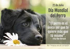 Así, en 2004 se estableció que cada 21 de julio se celebraría el día mundial del perro a nivel internacional, aunque en países como estados unidos, guatemala o colombia, se fijó el 26 de agosto. Eduardo Pena Auf Twitter 21 De Julio Dia Mundial Del Perro