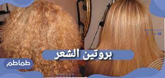 بروتين الشعر ما هى فوائد واضرار بروتين للشعر افضل انواع البروتين طماطم