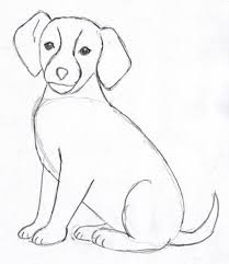 Dog Training Dog Learning Dog Care Pets Dog Dogcare Dieren Tekenen Huisdieren Tekenen Hond Tekeningen