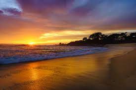 Carmel river state beach is a popular dog beach in carmel. 5 Reasons To Escape To Carmel River State Beach Today For One Hour The Heinrich Team