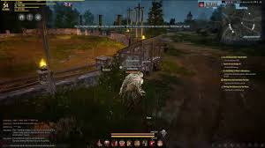 A larger family means a larger energy pool to work with. Black Desert Online Where To Find Heidel Arena Youtube
