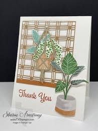 All creative skill levels are welcome. Greeting Cards For Friends That Are Remarkable Relaxing To Make