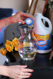 Check spelling or type a new query. 5 Cleaning Hacks Using Bleach For Millennials With No Time Coming Up Roses