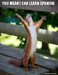 You Mean I Can Learn Spanish Happy Squirrel Make A Meme