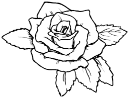 Sketsa gambar bunga di pot. Mewarnai Gambar Bunga Mawar Merah Sempoa Dunia
