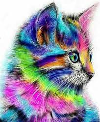 color cat diamond painting rainbow kittens cute animal drawings cat colors