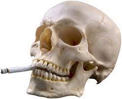 Transparents Skull Png Aesthetic