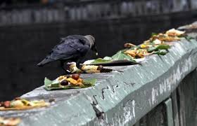 Image result for shradh pooja
