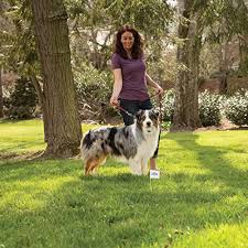 If you're looking for cheap dog fence options to build by yourself, then the first two suggestions aren't really going to work. The 6 Best In Ground Invisible Dog Fences Of 2021
